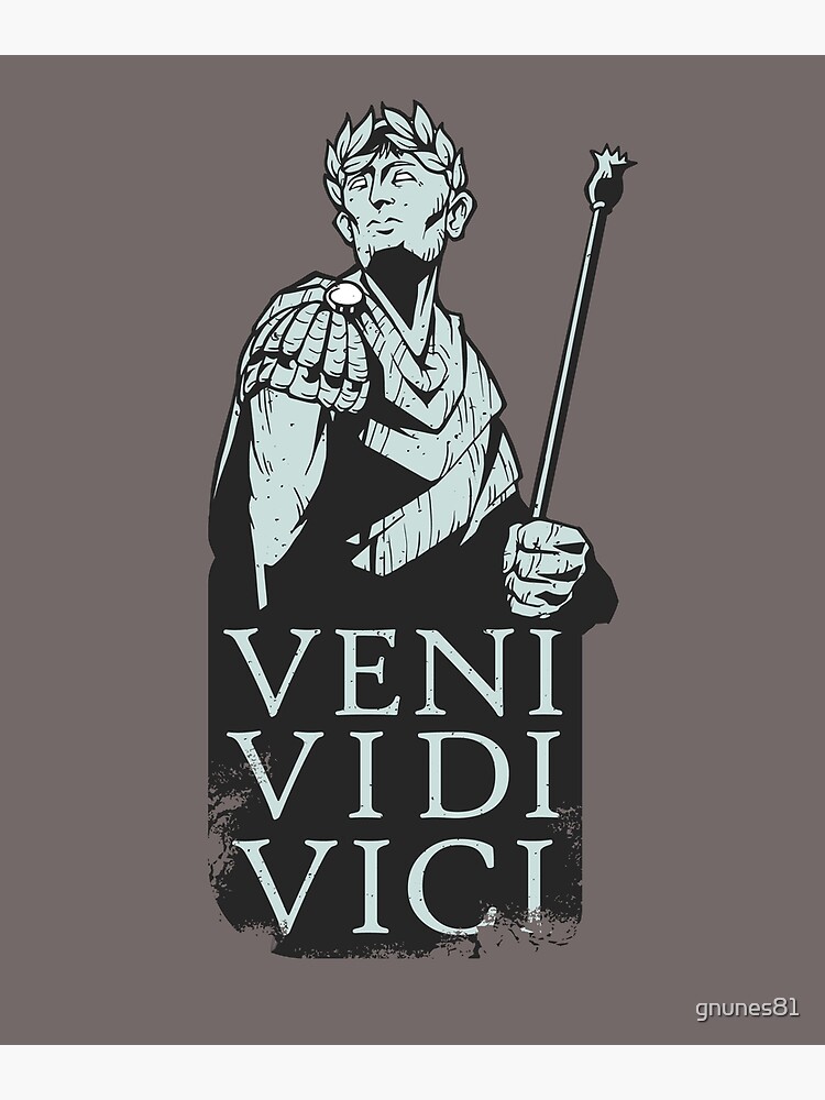 Veni Vidi Vici Posters and Art Prints for Sale