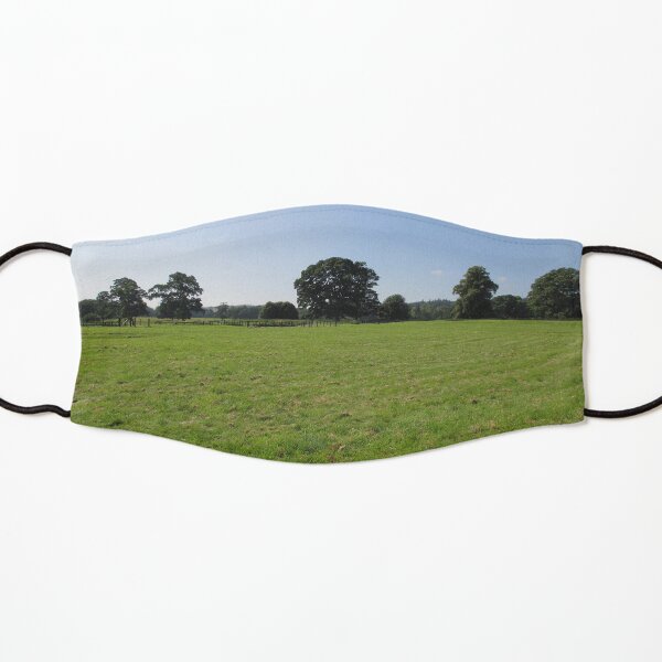 M.I. #117 |☼| Distant Love Heart Pareidolia Trees (Hadrian's Wall) Kids Mask