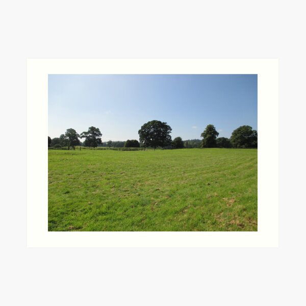 M.I. #117 |☼| Distant Love Heart Pareidolia Trees (Hadrian's Wall) Art Print