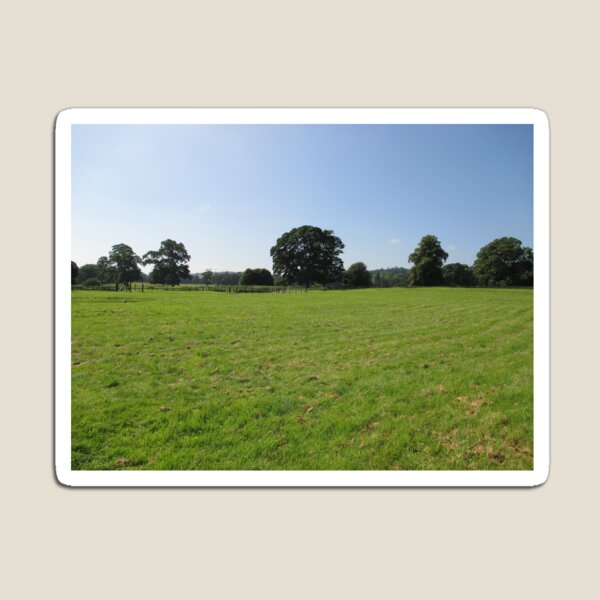 M.I. #117 |☼| Distant Love Heart Pareidolia Trees (Hadrian's Wall) Magnet