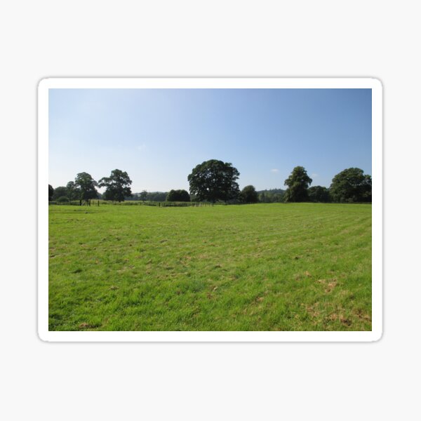 M.I. #117 |☼| Distant Love Heart Pareidolia Trees (Hadrian's Wall) Sticker