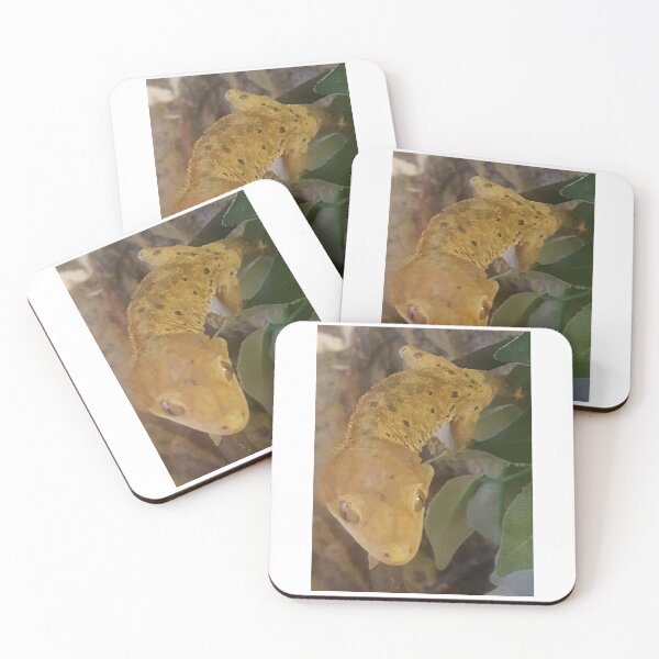 Item preview, Pet Crested Gecko designed and sold by AbnormalLoad.