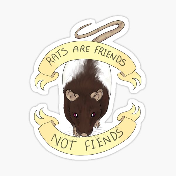 Rats are friends not fiends Sticker