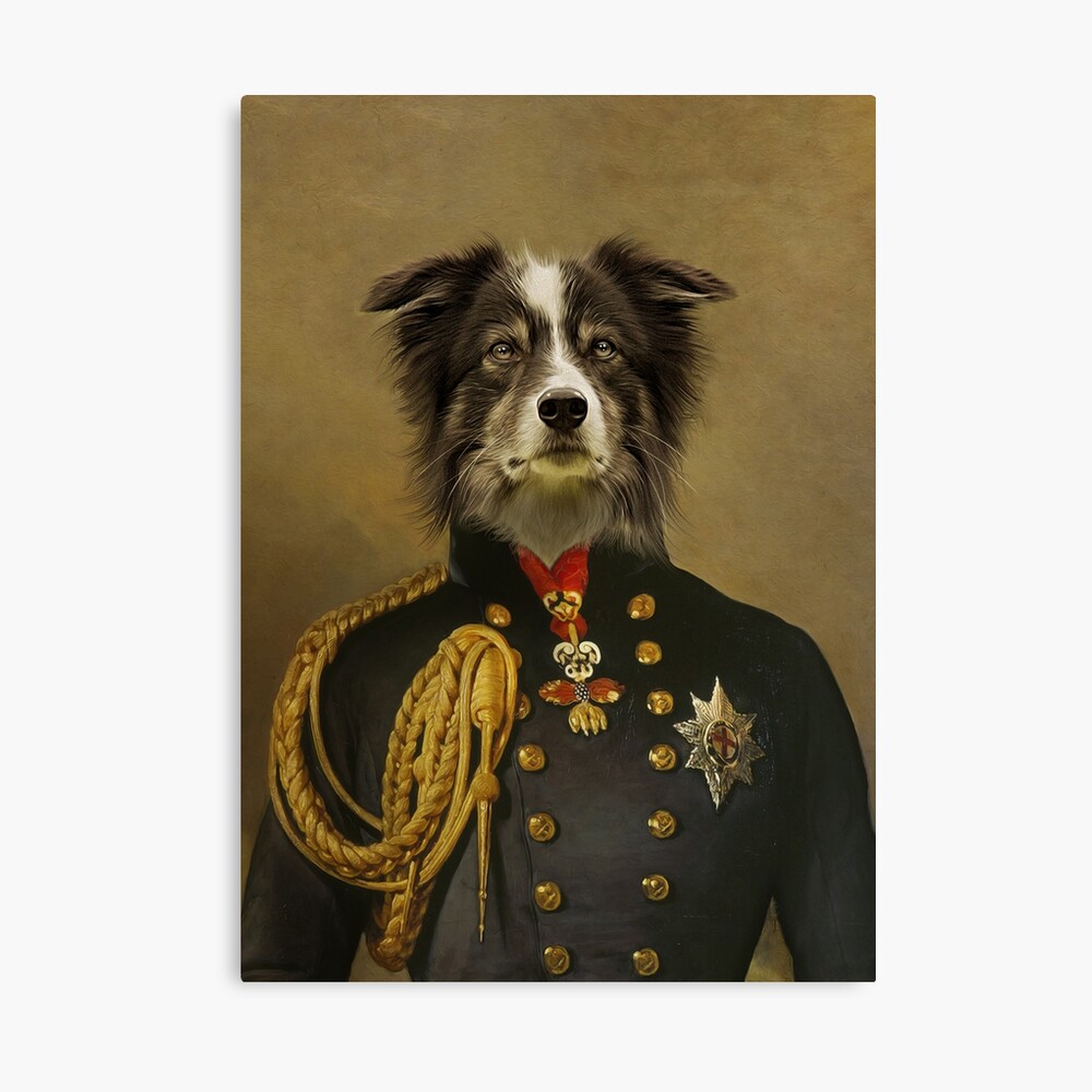 Details about   Border Collie Collectible Jesters 13x19 Dog Pop Art Print Signed by Artist KSams 