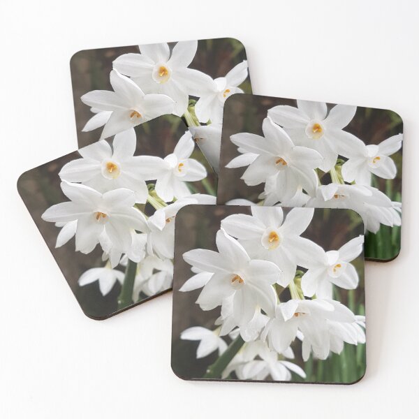 Item preview, Narcissus Paperwhite designed and sold by AbnormalLoad.