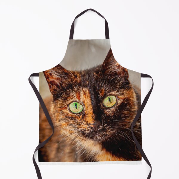 Item preview, Meggy the Moggy designed and sold by Dalyndigital Photography.