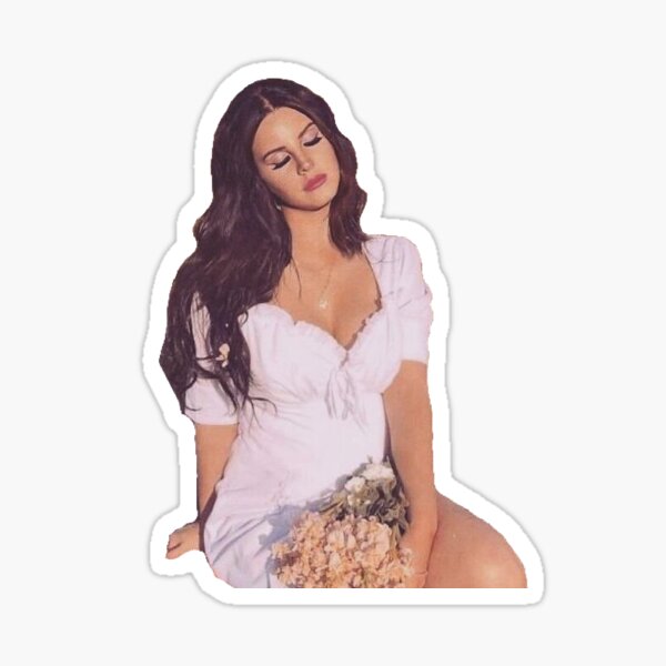 Esthétique Lana Del Ray Sticker