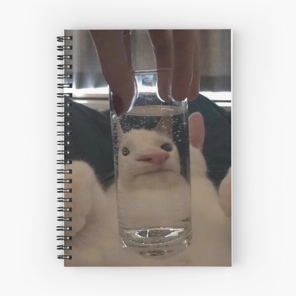 Artikelvorschau, lustige Katze entworfen und verkauft von cassiedevaney.