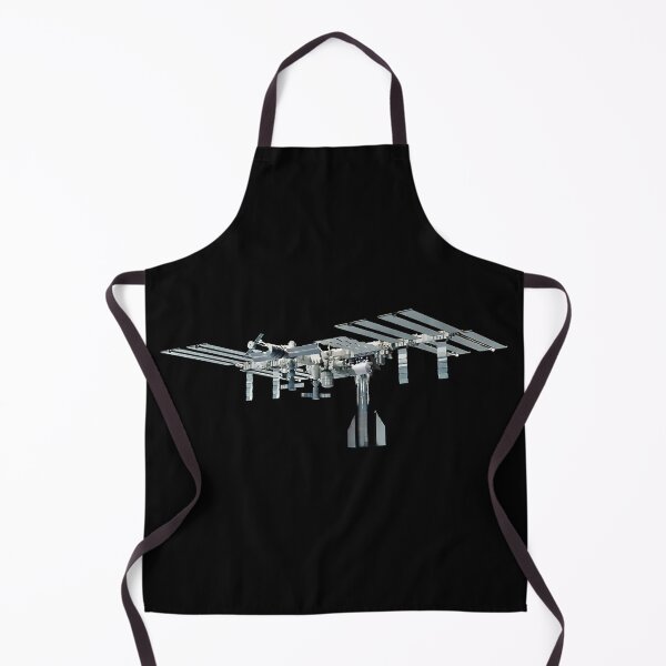 Item preview, Starship & ISS  designed and sold by DigitalDesgin.