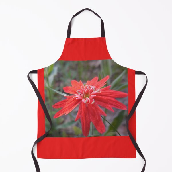 Item preview, Indian Pink designed and sold by Chris Gudger.