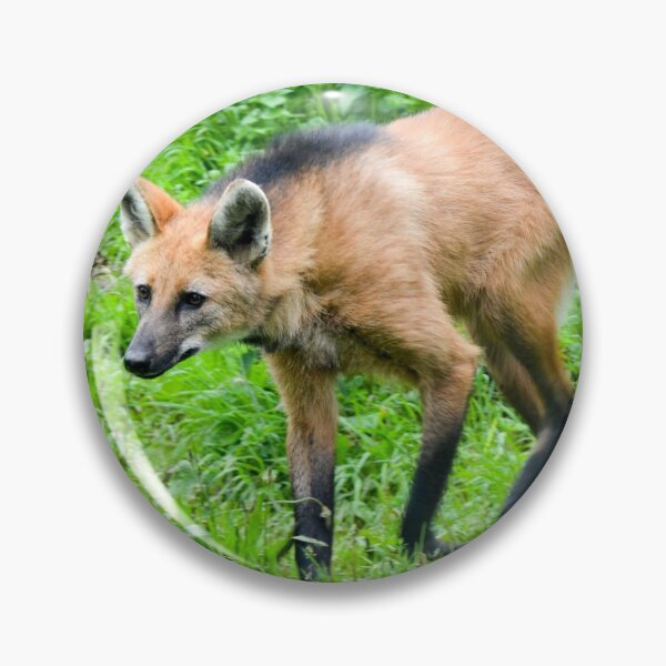 Item preview, Maned Wolf. designed and sold by Ksswaden.