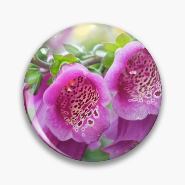 Item preview, Digitalis in the garden designed and sold by Anna Ratkevich.
