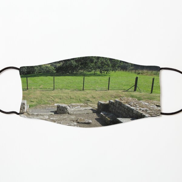 M.I. #118 |☼| Abundant Trees Beyond Rocky Remains - Shot 1 (Hadrian's Wall) Kids Mask