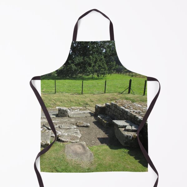 M.I. #118 |☼| Abundant Trees Beyond Rocky Remains - Shot 1 (Hadrian's Wall) Apron