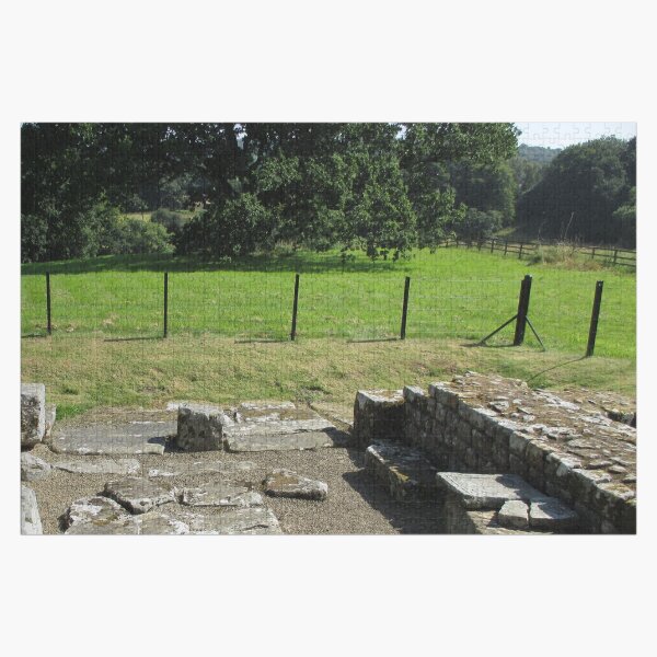 M.I. #118 |☼| Abundant Trees Beyond Rocky Remains - Shot 1 (Hadrian's Wall) Jigsaw Puzzle