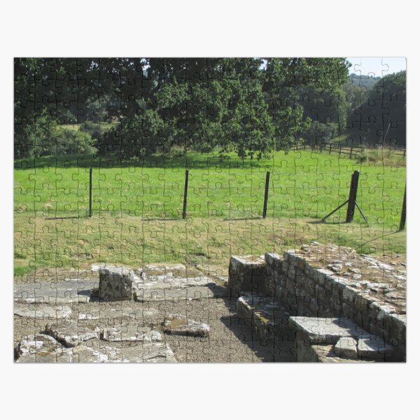 M.I. #118 |☼| Abundant Trees Beyond Rocky Remains - Shot 1 (Hadrian's Wall) Jigsaw Puzzle