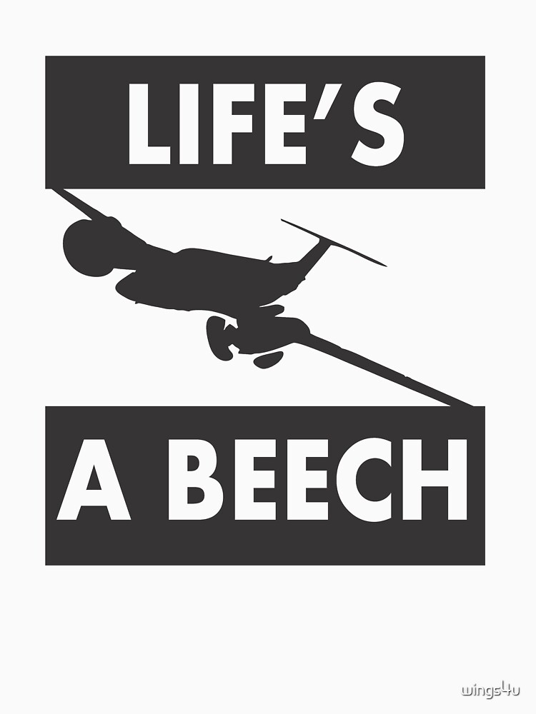 Model 13 - Life's a Beech by wings4u