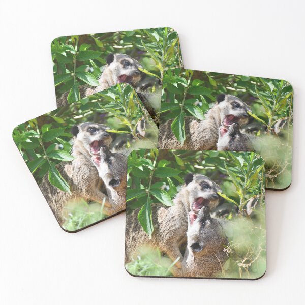 Item preview, Meerkats Play Fighting 2 designed and sold by Ksswaden.