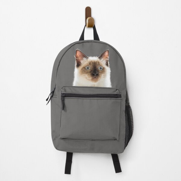 Item preview, Startled Lola the Ragdoll Kitten designed and sold by Jane Stanley Photography.
