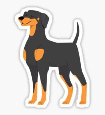 Doberman Sticker