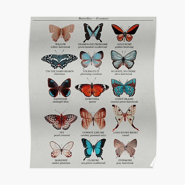 Butterflies Poster