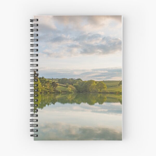 Item preview, Reservoir in Chesterfield  designed and sold by pskuce.