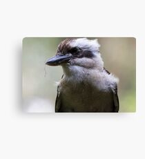 Scruffy Spike Canvas Print