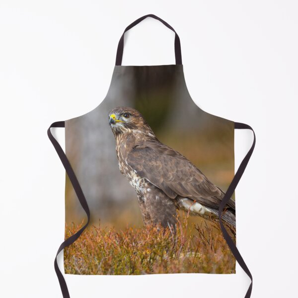 Item preview, Common Buzzard designed and sold by Dave Hare Photography.
