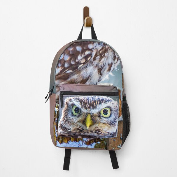 Item preview, Little Owl designed and sold by Dave Hare Photography.