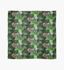 Wings Of Glass Scarf