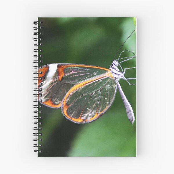 Item preview, Wings Of Glass designed and sold by Jo Nijenhuis.
