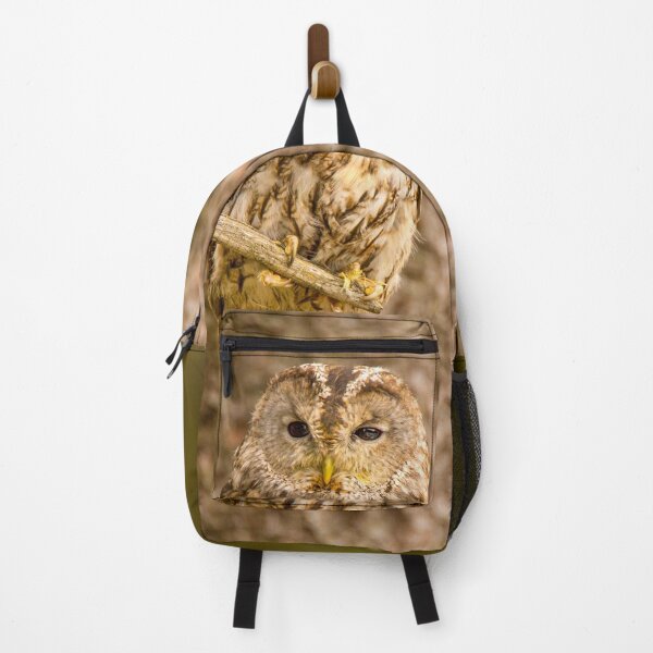 Item preview, Perched Tawny Owl designed and sold by Dave Hare Photography.