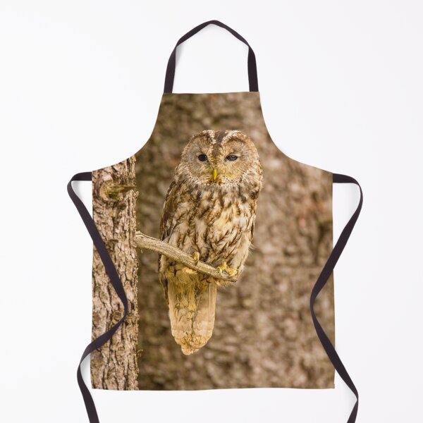 Item preview, Perched Tawny Owl designed and sold by Dave Hare Photography.
