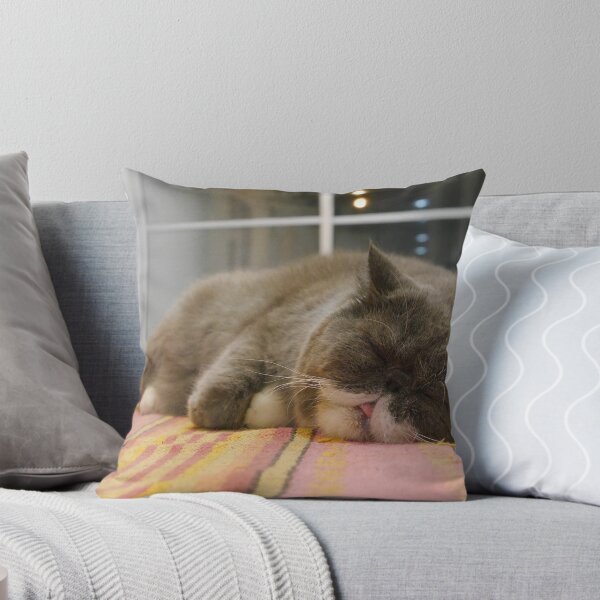Item preview, Lazy Cat designed and sold by Nurdiyana Mokhtar.