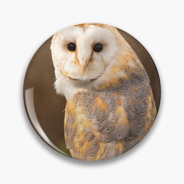Item preview, Barn Owl designed and sold by Dave Hare Photography.