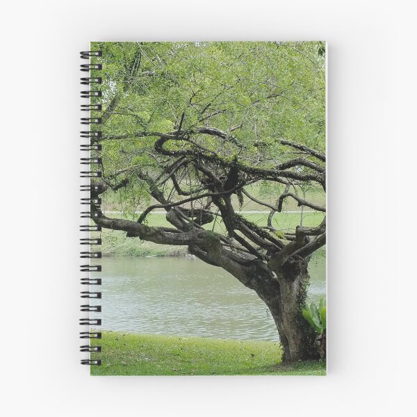 Item preview, Twisting and Turning        Singapore designed and sold by sandysartstudio.
