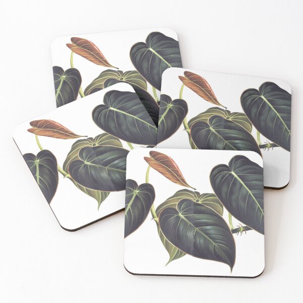 Item preview, Araceae Philodendron melanochrysum aroid plant designed and sold by Aratomara.