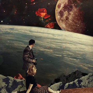 Artwork thumbnail, The Roses Came by FrankMoth