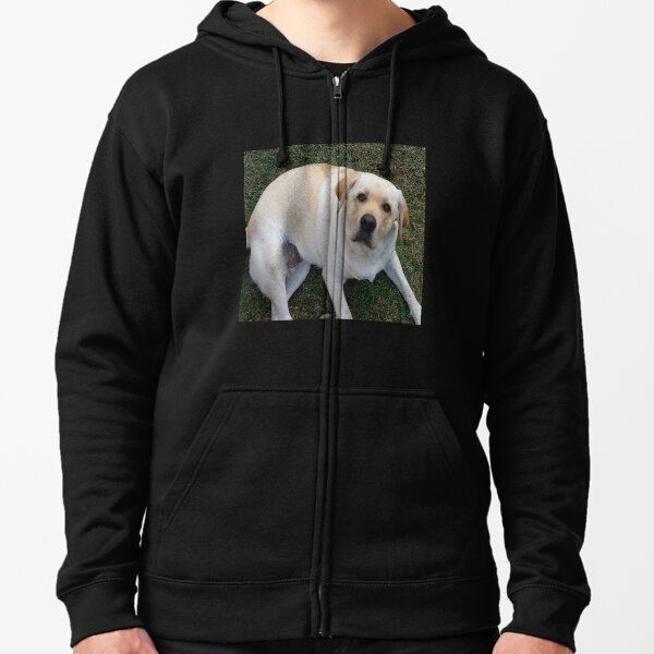 labrador hoodie