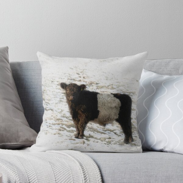 Item preview, Belted Galloway Cow Watercolour Photograph. designed and sold by JStanley19.