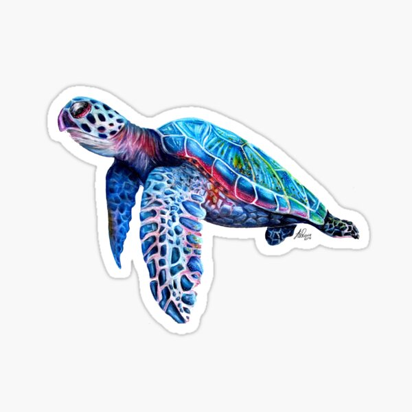 Sea Turtle Sticker