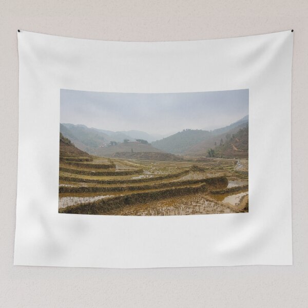 Item preview, A vietnamese rice terrace on a winters morning in Sapa, Northern Vietnam designed and sold by SnapTPhotograph.