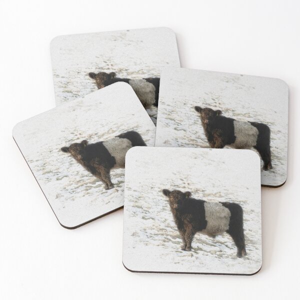 Item preview, Belted Galloway Cow Watercolour Photograph. designed and sold by Jane Stanley Photography.