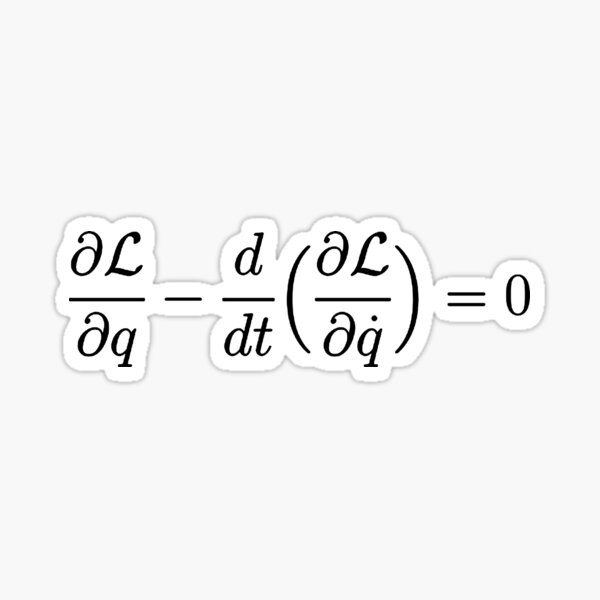 Item preview, euler lagrange equation, physics and science basics designed and sold by NoetherSym.
