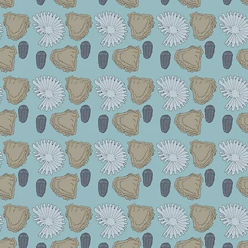 Artwork thumbnail, Shell Shore by RubyPrintDesign