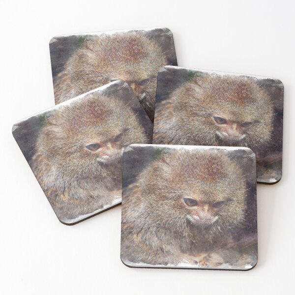 Item preview, Finger Monkey Pygmy Marmoset Baby Pet designed and sold by wodra.