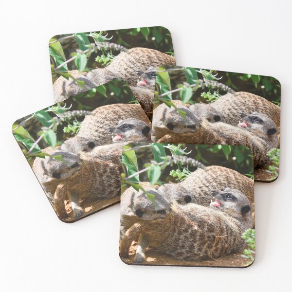 Item preview, Meerkats playing designed and sold by Ksswaden.