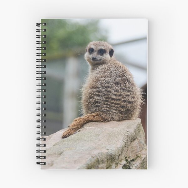 Item preview, Meerkat @ Exmoor Zoo designed and sold by Ksswaden.