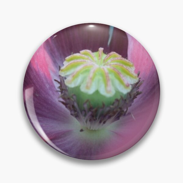 Item preview, Pink Poppy designed and sold by sianemily.