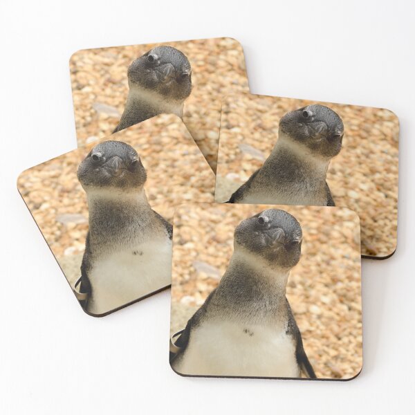 Item preview, Interested Penguin designed and sold by Ksswaden.
